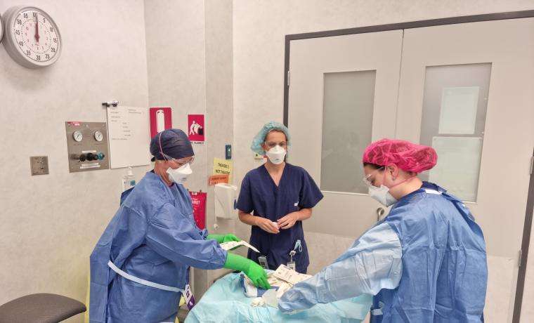 Theatre nurses Megan Newton, Jane Murphy and Hayley Busana prepare for surgery.